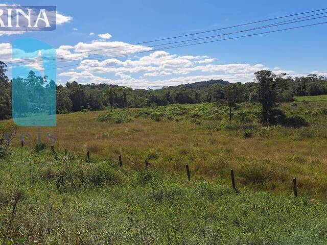 Área para Venda em Itapoá - 4