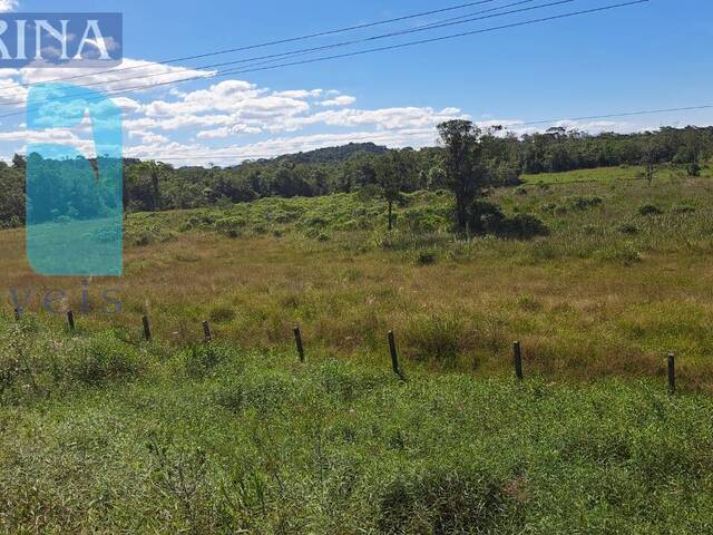 Área para Venda em Itapoá - 5